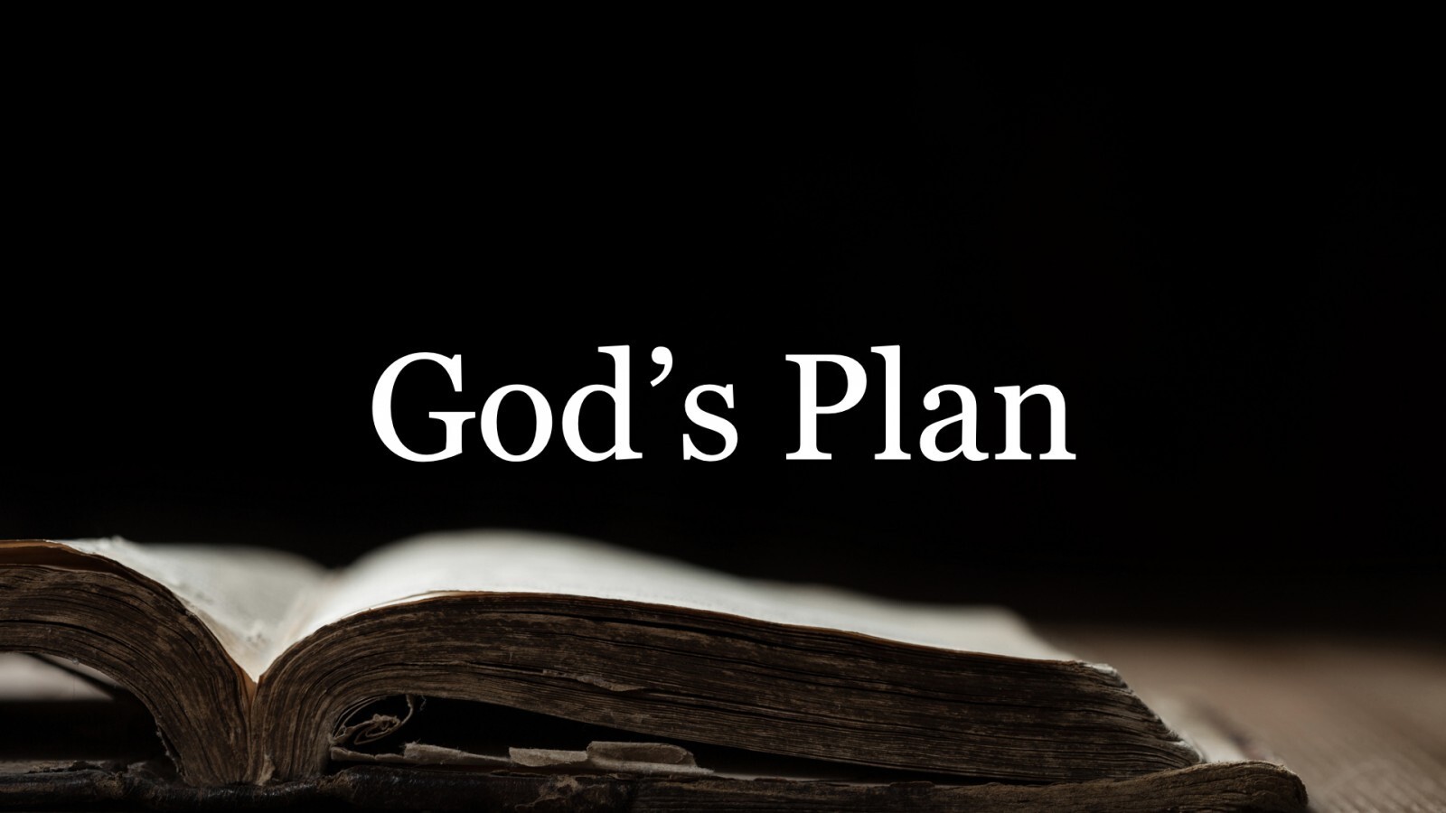 God's Plan to build us